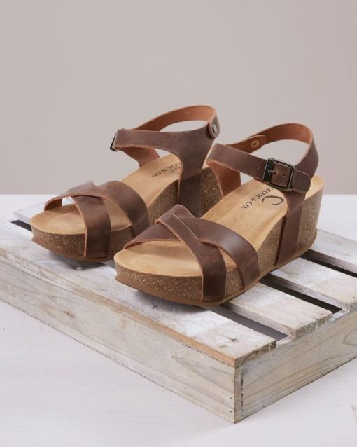 Trendroar.shop01e4627ffc 2