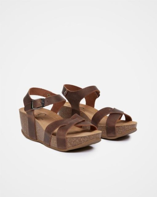 Trendroar.shop01e4627ffc 3