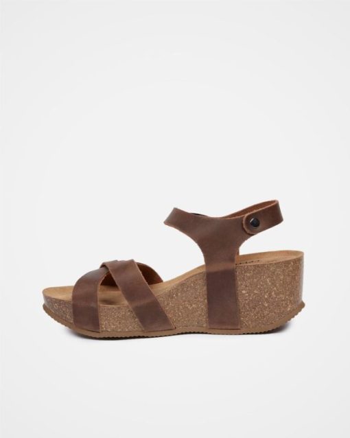 Trendroar.shop01e4627ffc 5