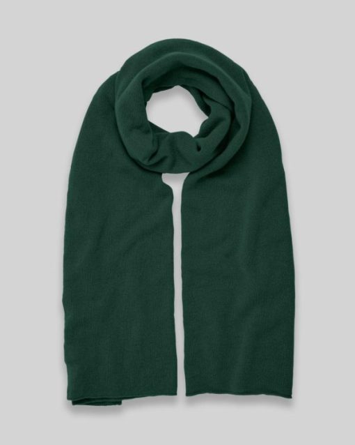 Trendroar.shop0a9b169cb1 1