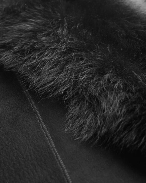 Trendroar.shop0c4e6ff5b6 4