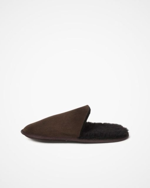 Trendroar.shop0f85ef7470 4