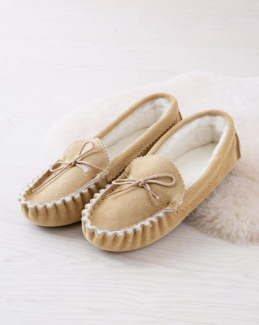 Trendroar.shop0fe4b508a5 1