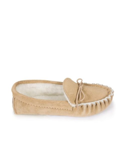 Trendroar.shop0fe4b508a5 3