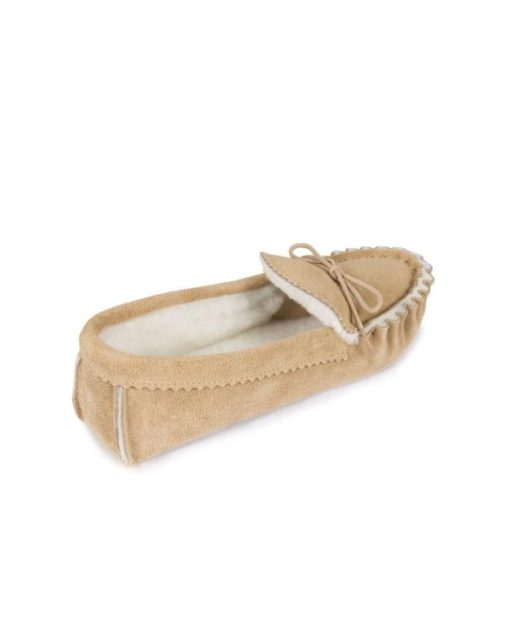 Trendroar.shop0fe4b508a5 5