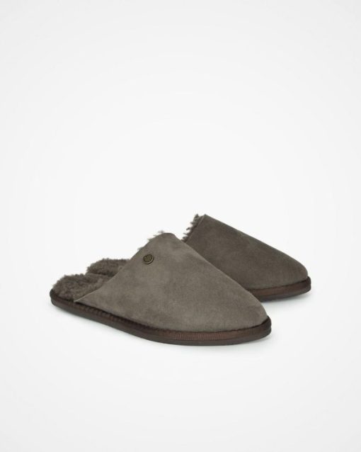 Trendroar.shop11afe0a322 2