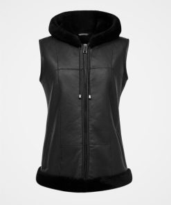 Trendroar.shop1216a43700 3