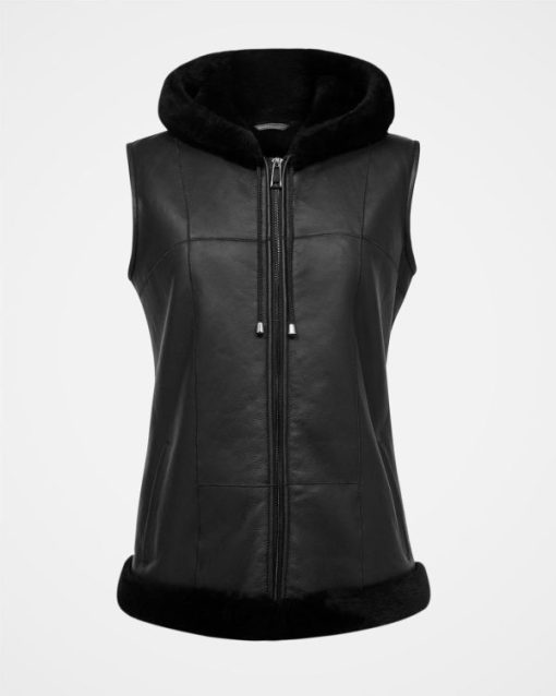 Trendroar.shop1216a43700 3