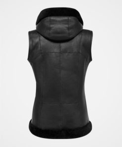 Trendroar.shop1216a43700 4
