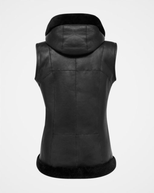 Trendroar.shop1216a43700 4