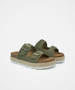Trendroar.shop1755854c0f 2