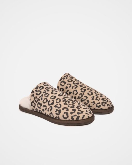 Trendroar.shop1ba54be3d6 5