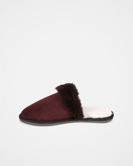 Trendroar.shop1c233b045a 5