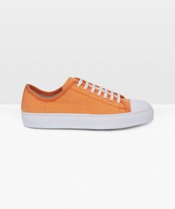 Trendroar.shop1ffd6f089c 1
