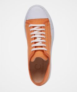 Trendroar.shop1ffd6f089c 4