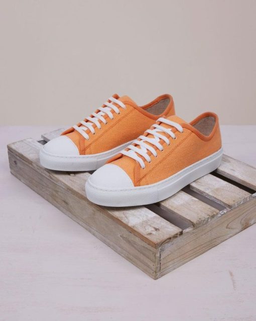 Trendroar.shop1ffd6f089c 6