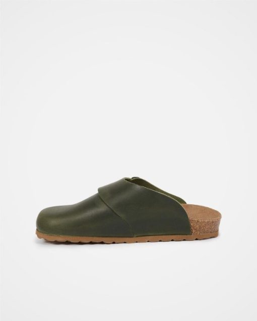 Trendroar.shop243a66b9f4 4