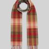 Trendroar.shop270de1e5f6 1