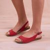 Trendroar.shop29566219c7 1