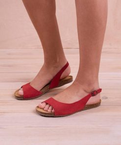 Trendroar.shop29566219c7 1