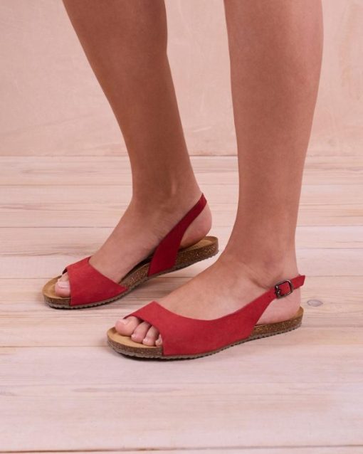 Trendroar.shop29566219c7 1