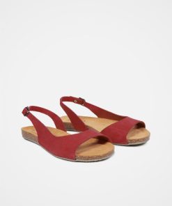 Trendroar.shop29566219c7 2