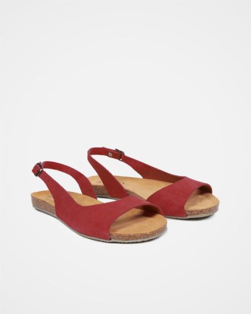 Trendroar.shop29566219c7 2