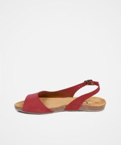 Trendroar.shop29566219c7 4