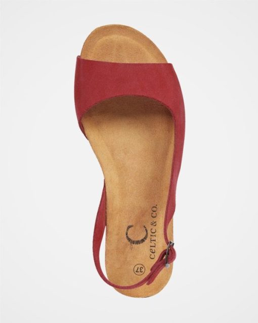 Trendroar.shop29566219c7 6