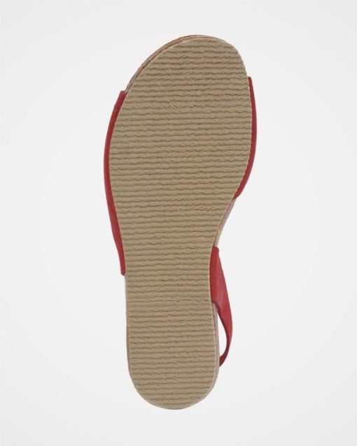 Trendroar.shop29566219c7 7