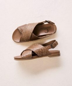 Trendroar.shop2beaa6ef12 1