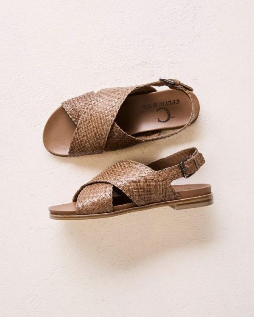Trendroar.shop2beaa6ef12 1