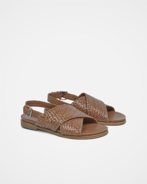 Trendroar.shop2beaa6ef12 4