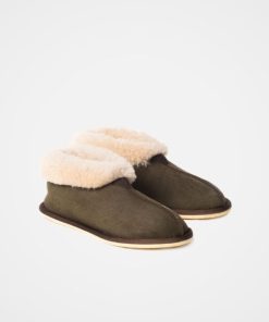 Trendroar.shop2dd2b9da5a 2