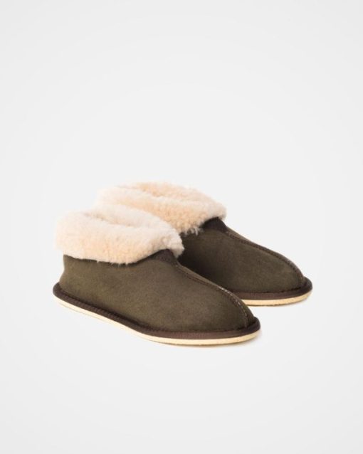 Trendroar.shop2dd2b9da5a 2