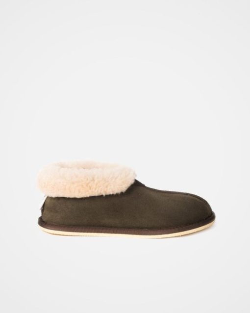 Trendroar.shop2dd2b9da5a 4