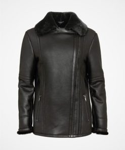 Trendroar.shop31d4dfbad2 3