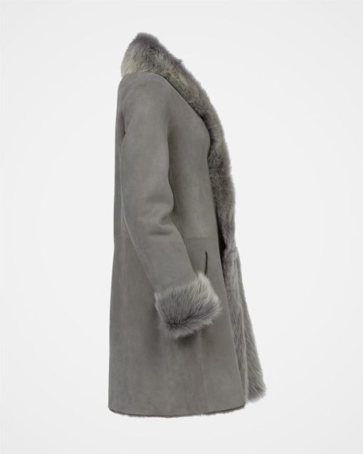 Trendroar.shop31eadafd94 6