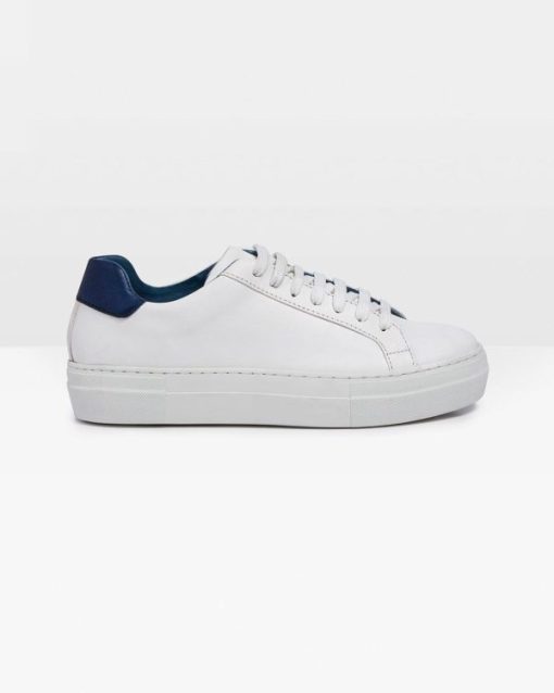 Trendroar.shop36da66479c 1
