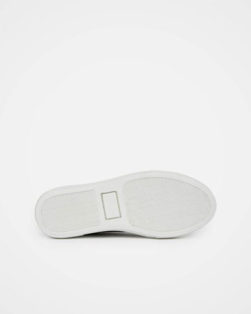 Trendroar.shop36da66479c 7