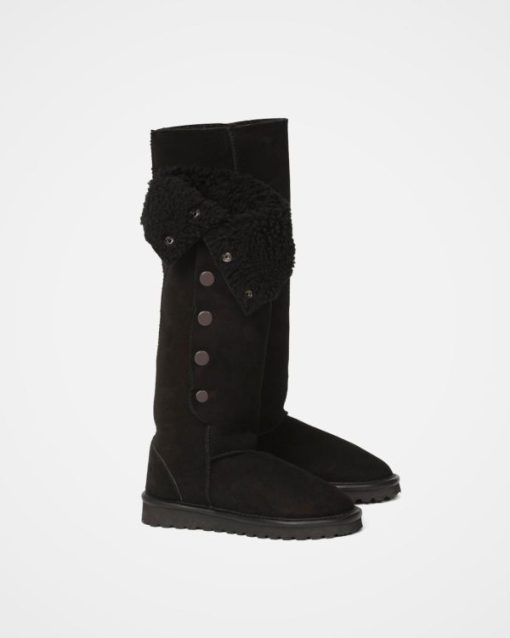 Trendroar.shop3c824be755 3