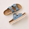 Trendroar.shop458eda2ba6 1
