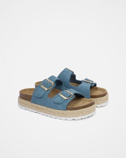 Trendroar.shop458eda2ba6 3