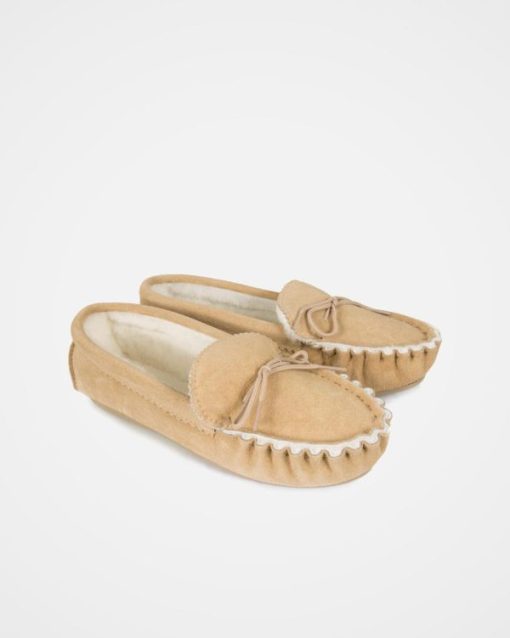Trendroar.shop4b11caed0b 4