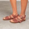 Trendroar.shop4bc4324c3e 1