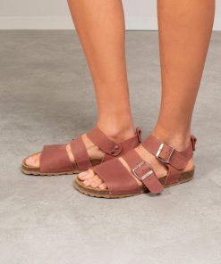 Trendroar.shop4bc4324c3e 1