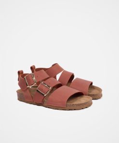 Trendroar.shop4bc4324c3e 2