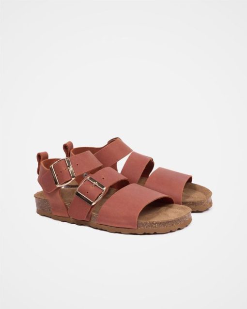 Trendroar.shop4bc4324c3e 2