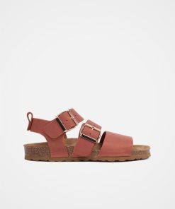 Trendroar.shop4bc4324c3e 3