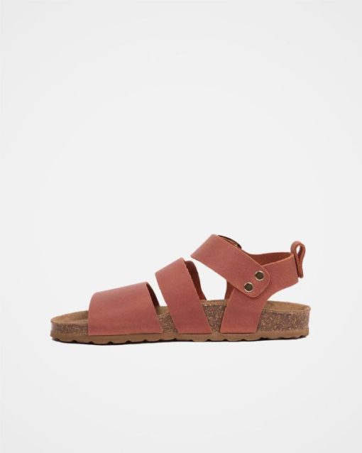 Trendroar.shop4bc4324c3e 4